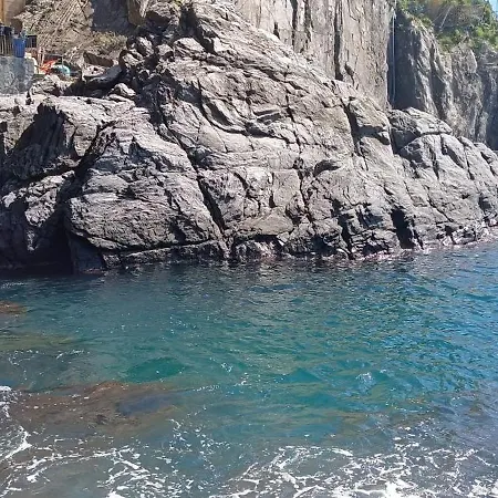 Iris E Aurora Daire *