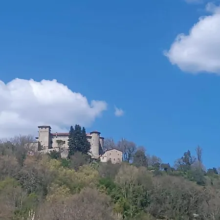 Iris E Aurora *