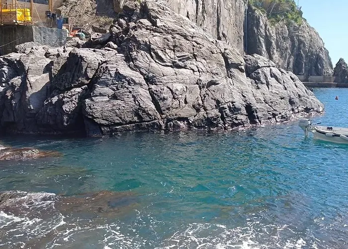 Iris E Aurora Daire *